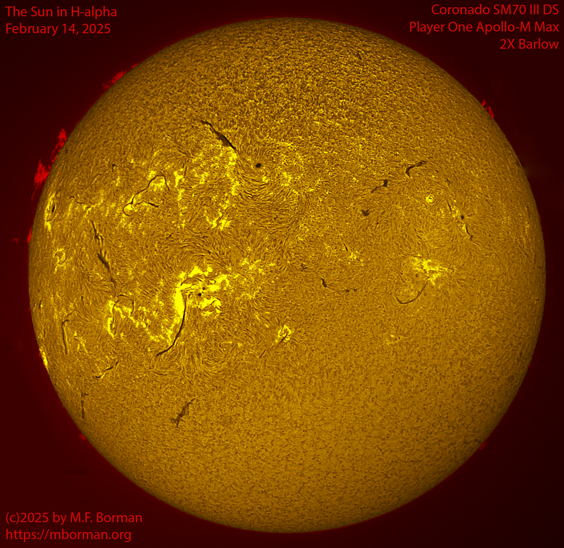Solar image in h-alpha 02/14/25
