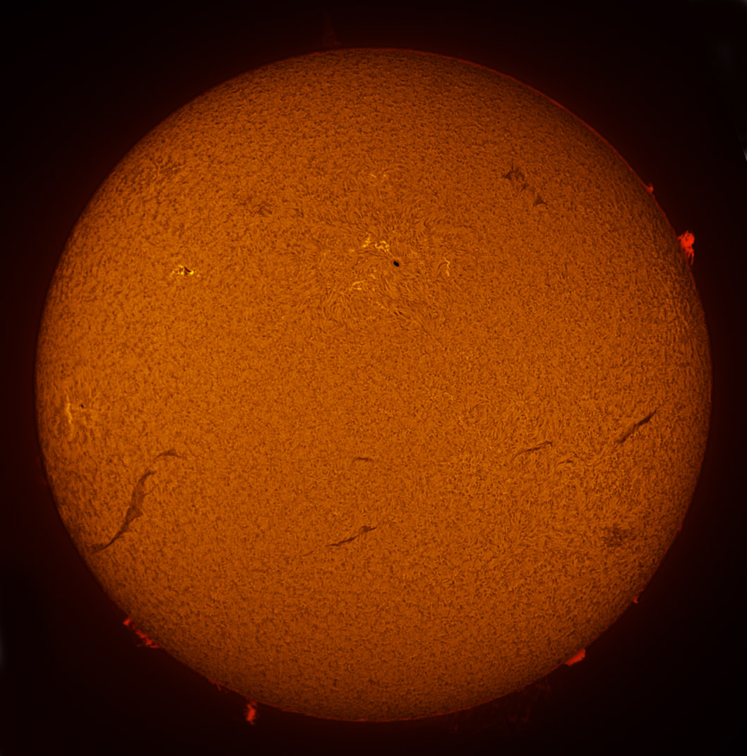 Solar Disk in h-alpha 02/16/2013