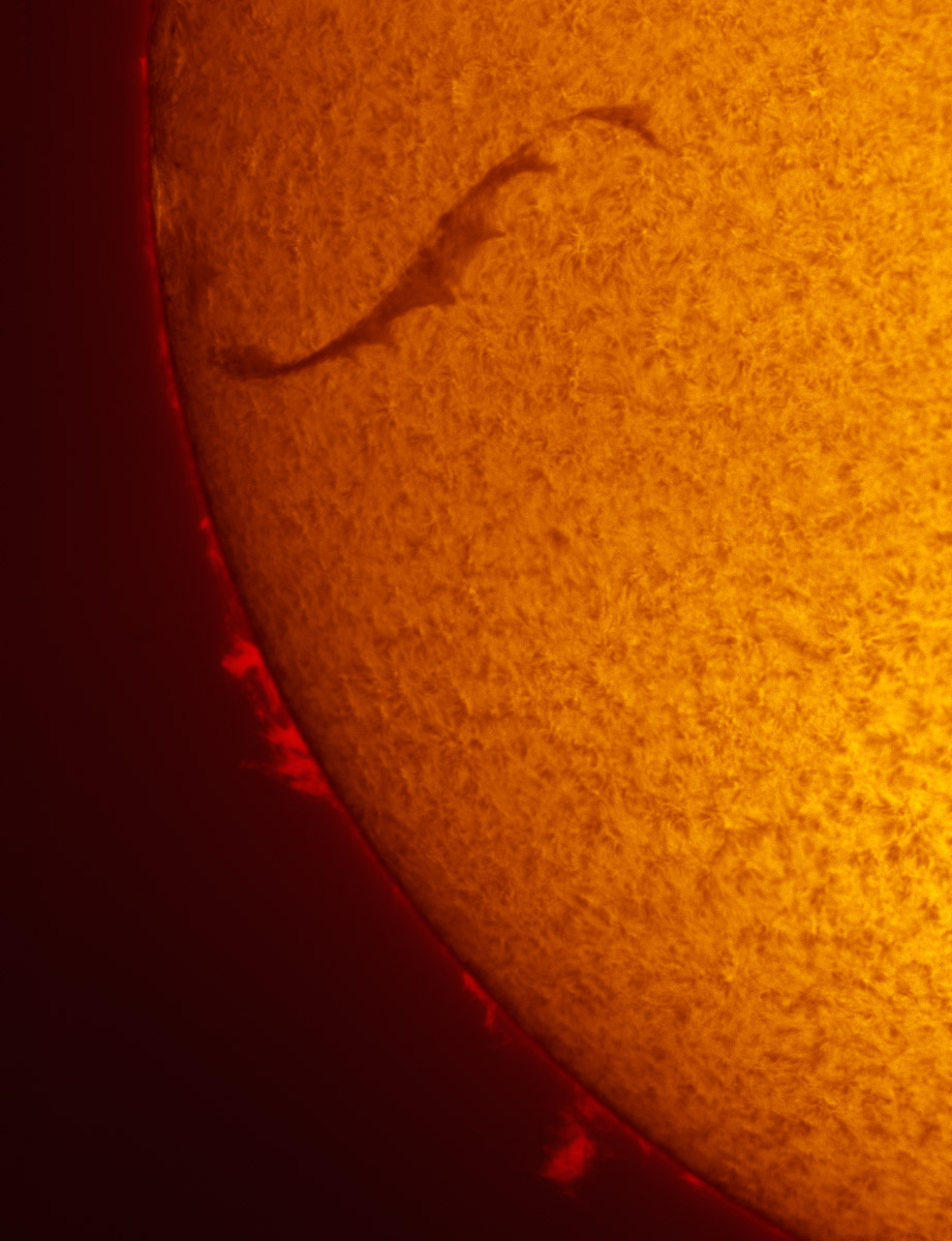 Solar Prominences in h-alpha 02/16/2013