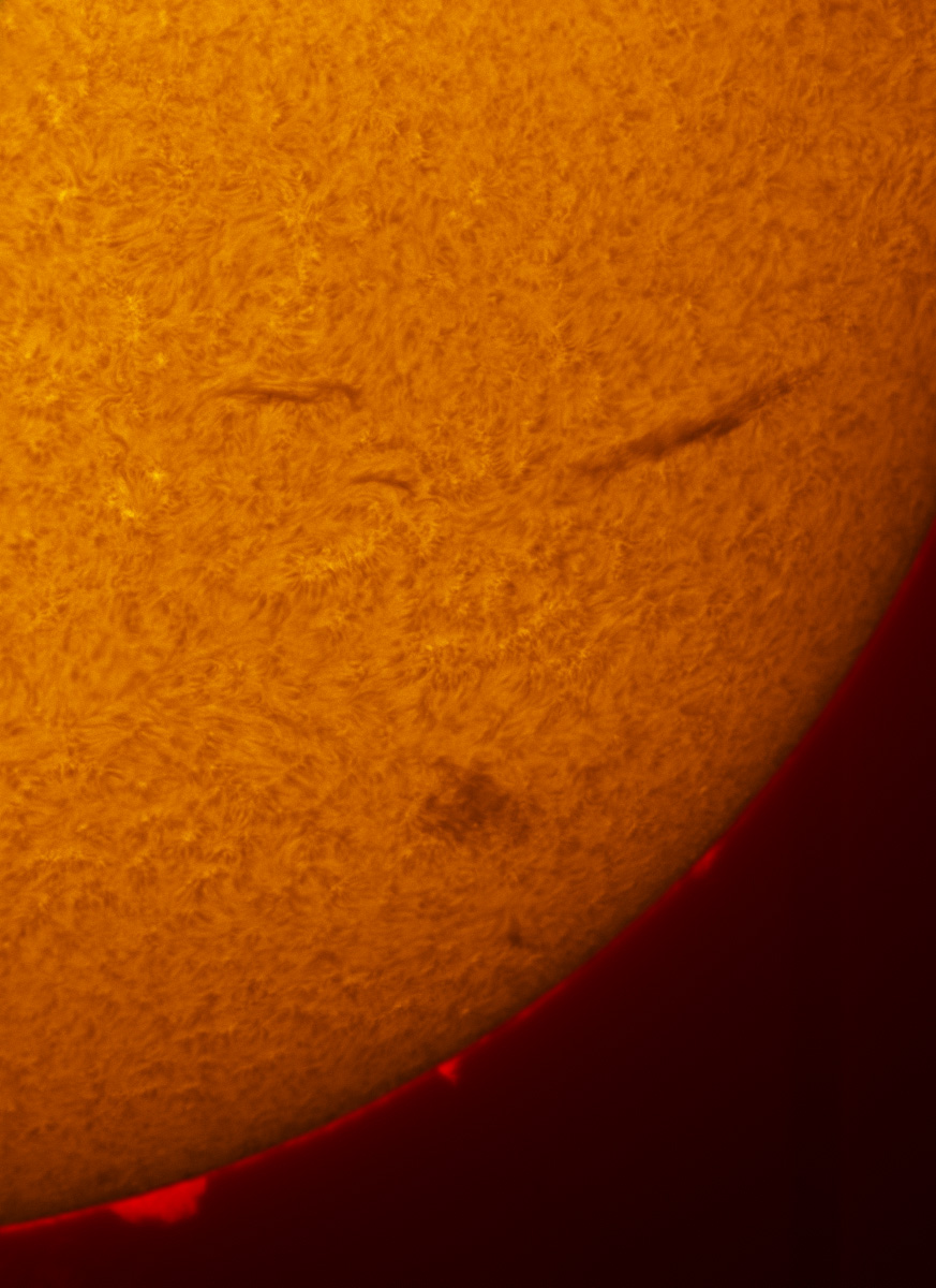 Solar Prominences in h-alpha 02/16/2013