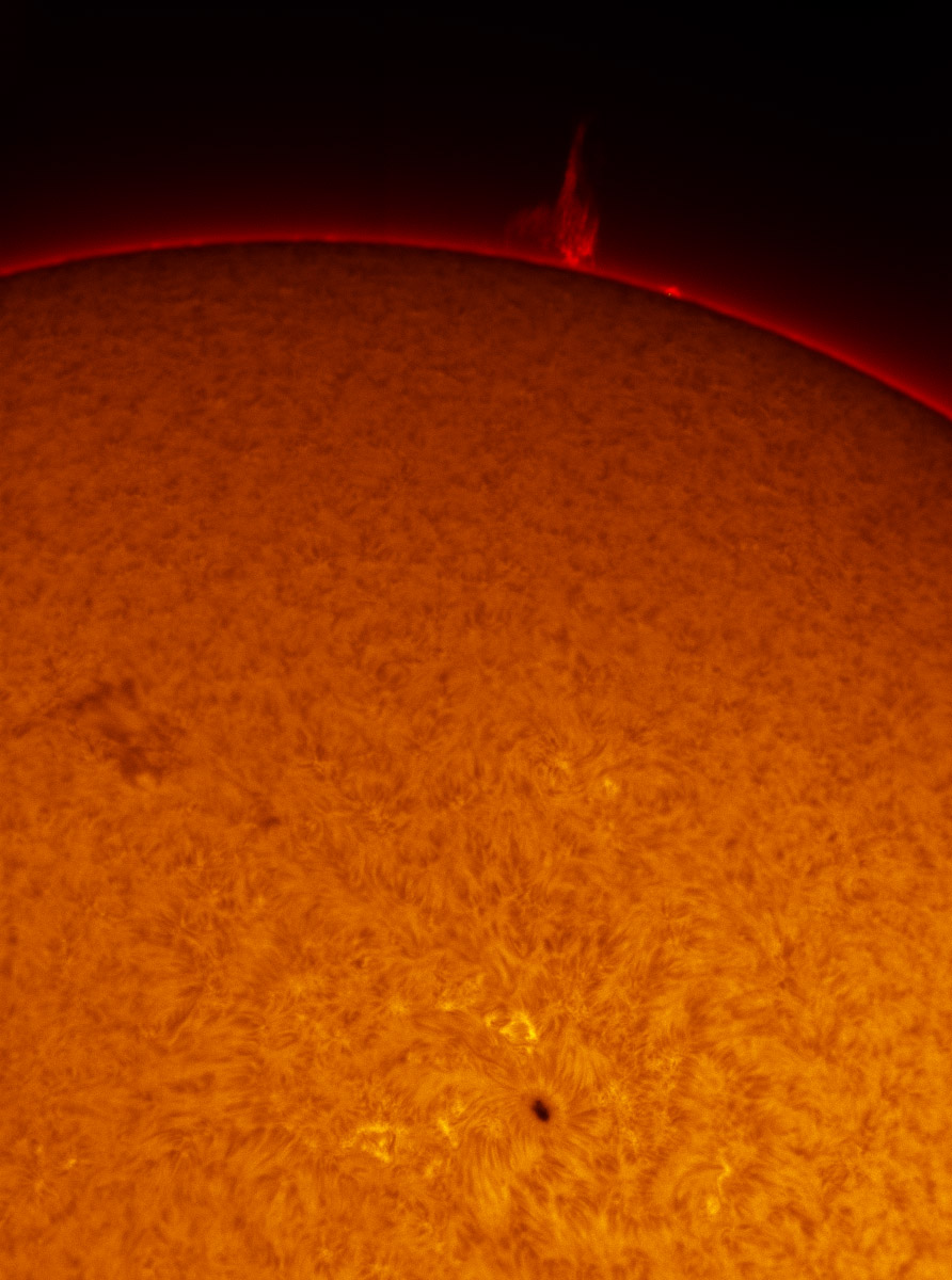 Solar Prominences in h-alpha 02/16/2013