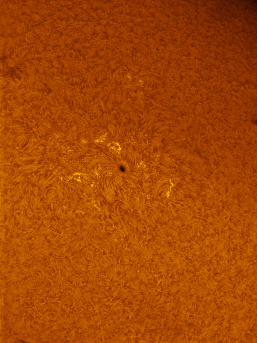 Sunspot 1671 in h-alpha 02/16/2013