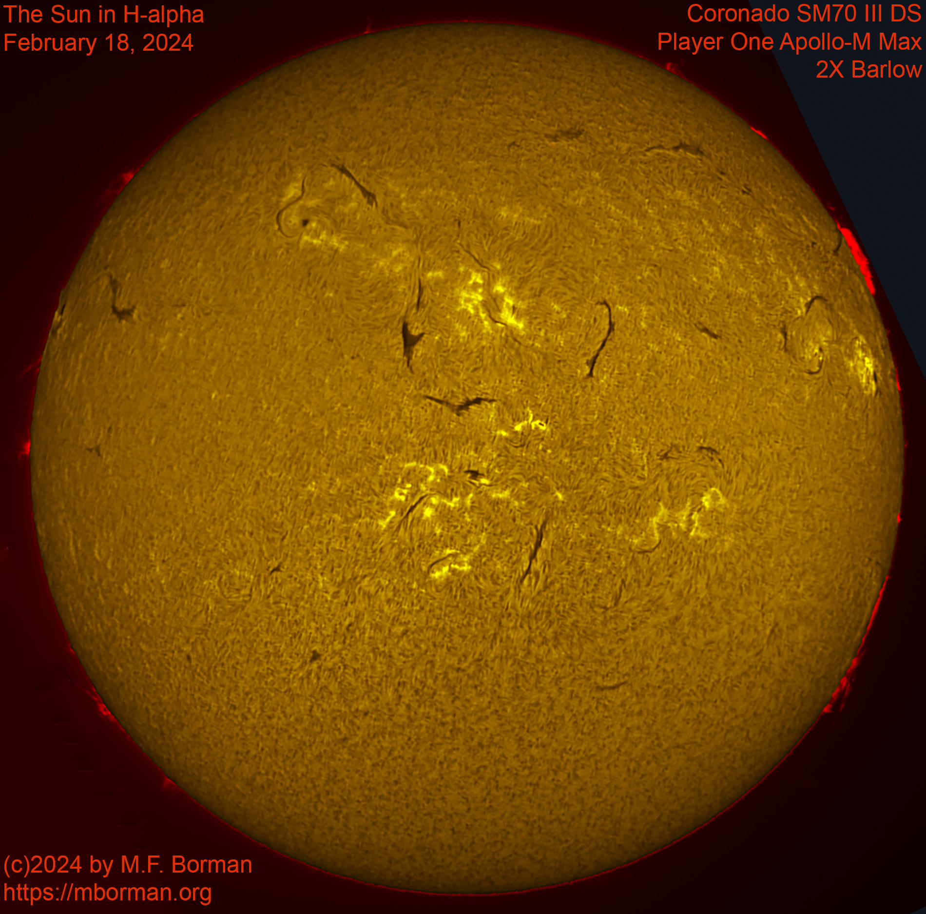 Solar image in h-alpha 02/18/2024