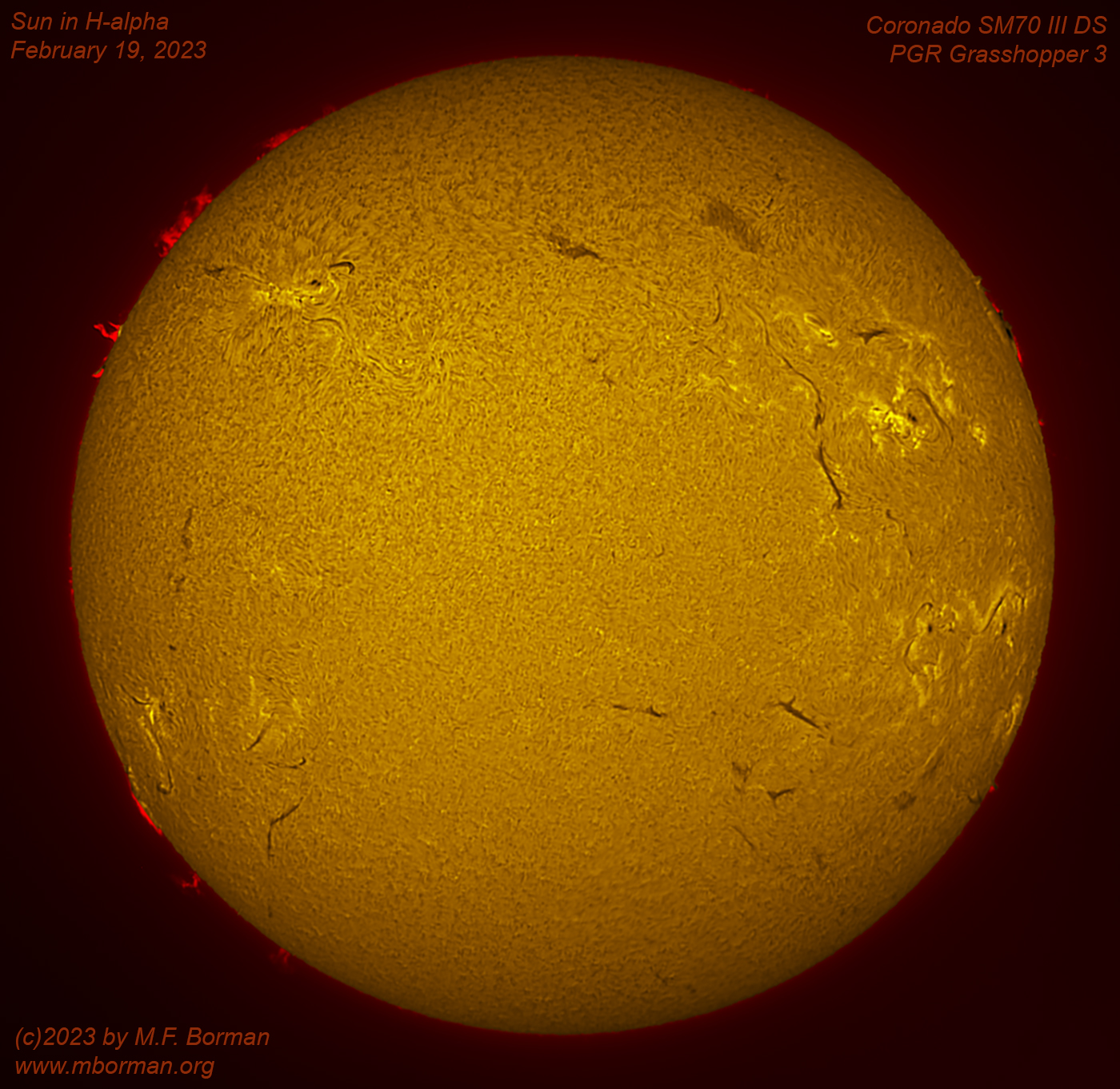 Solar disk in h-alpha 02/19/2023