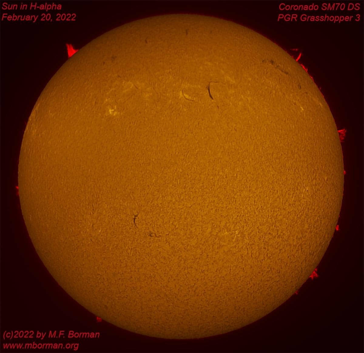 Solar disk in h-alpha 02/20/2022