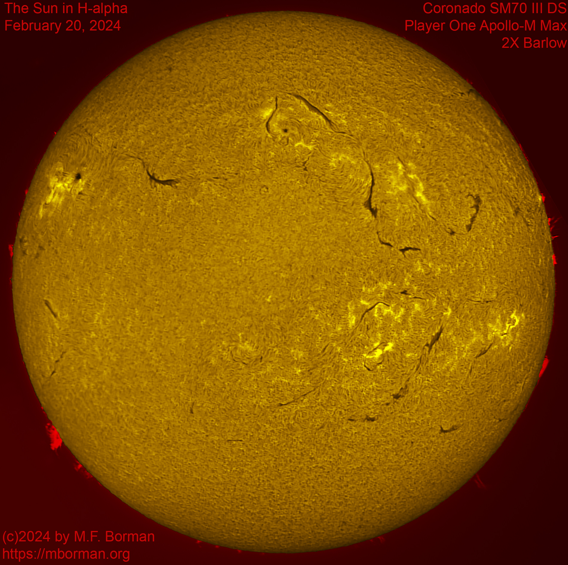 Solar image in h-alpha 02/20/2024