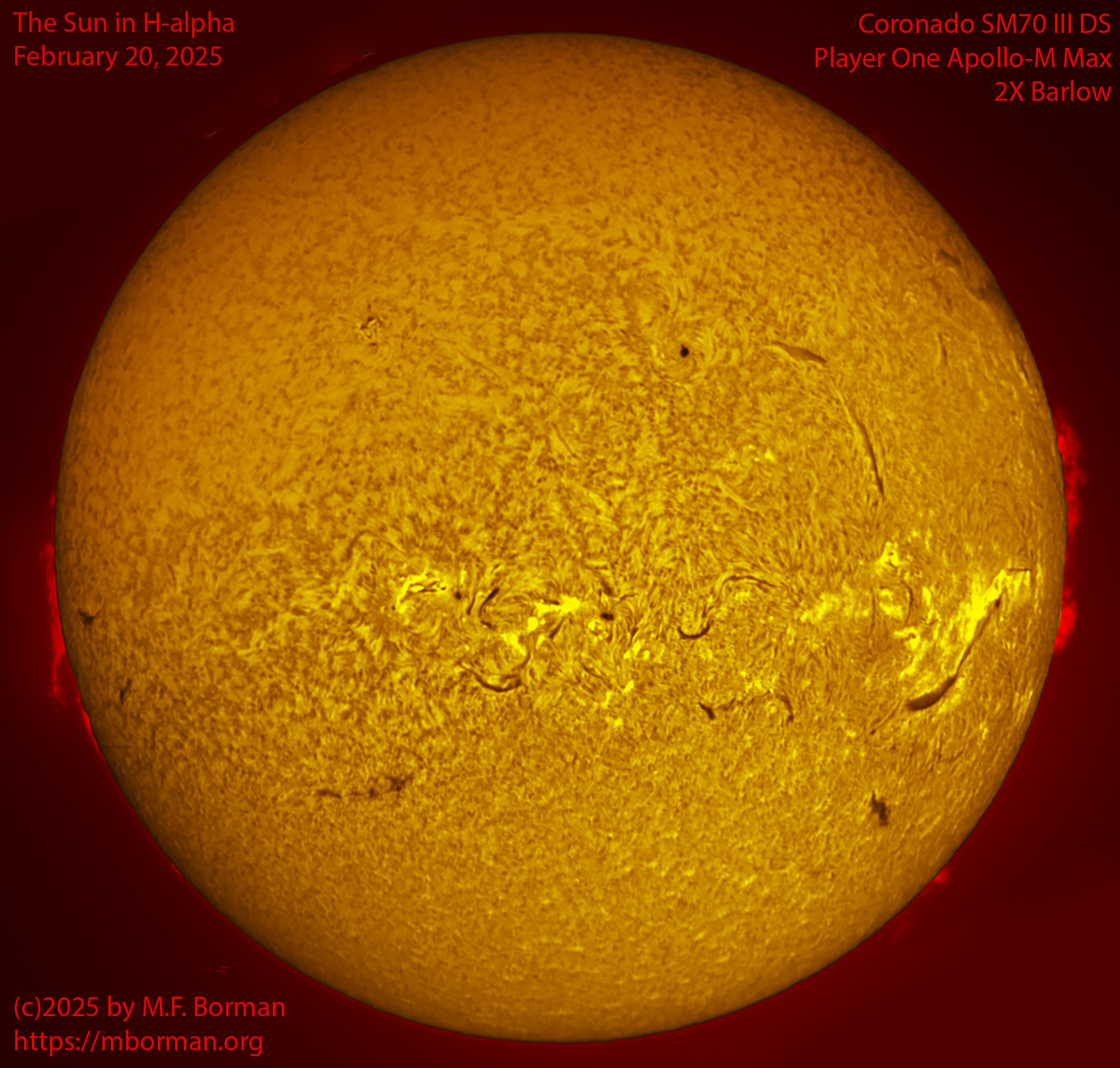 Solar image in h-alpha 02/20/25