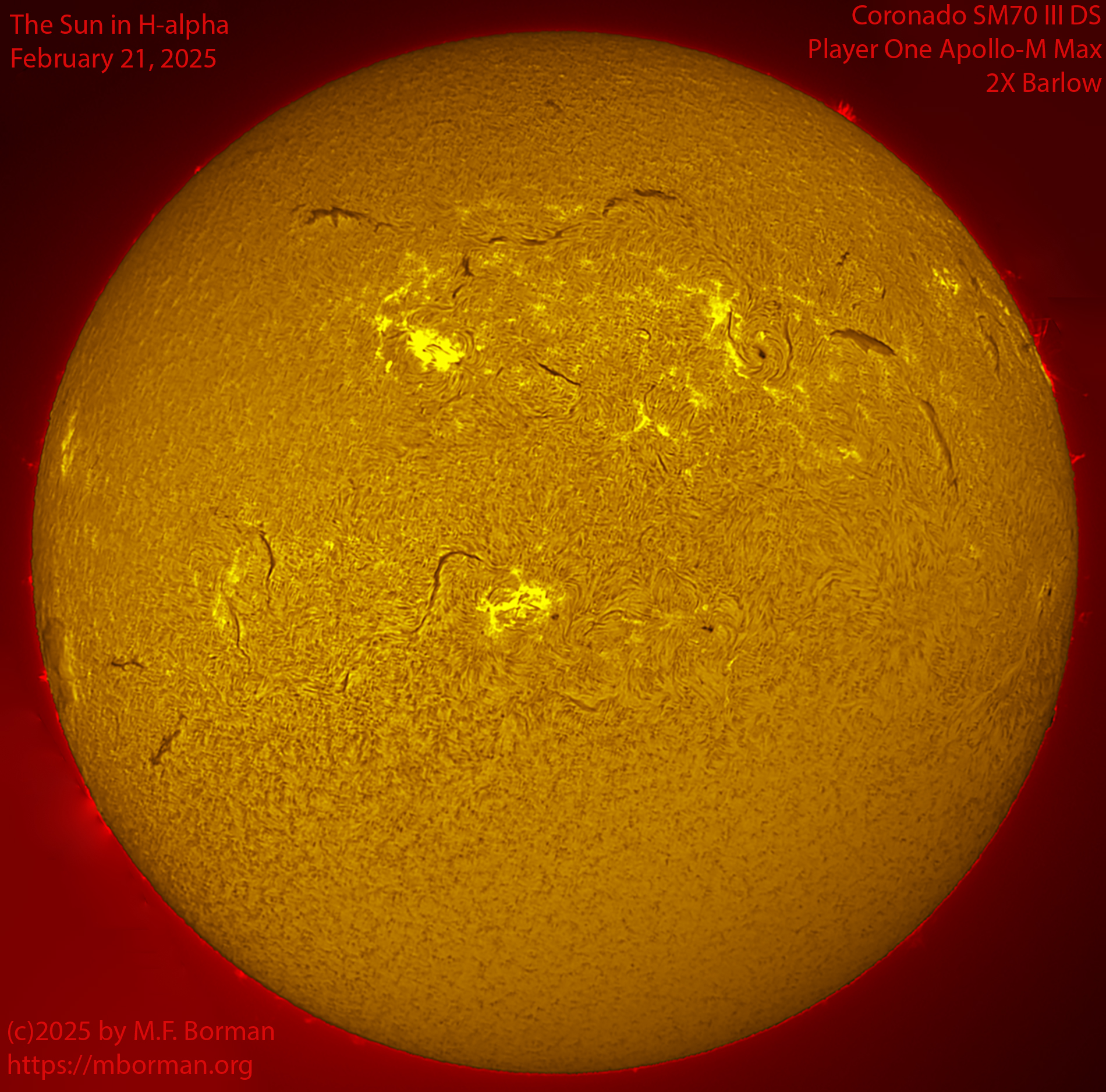 Solar image in h-alpha 02/21/25
