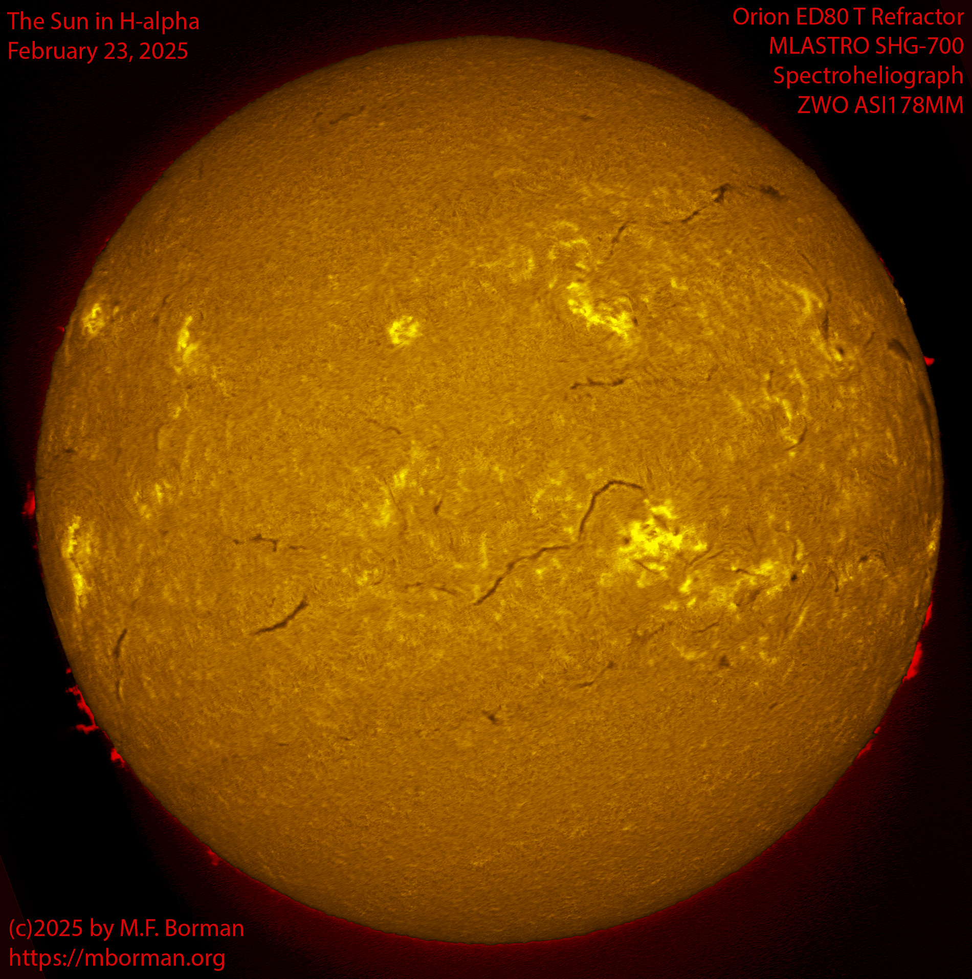 Solar image in h-alpha 02/23/25