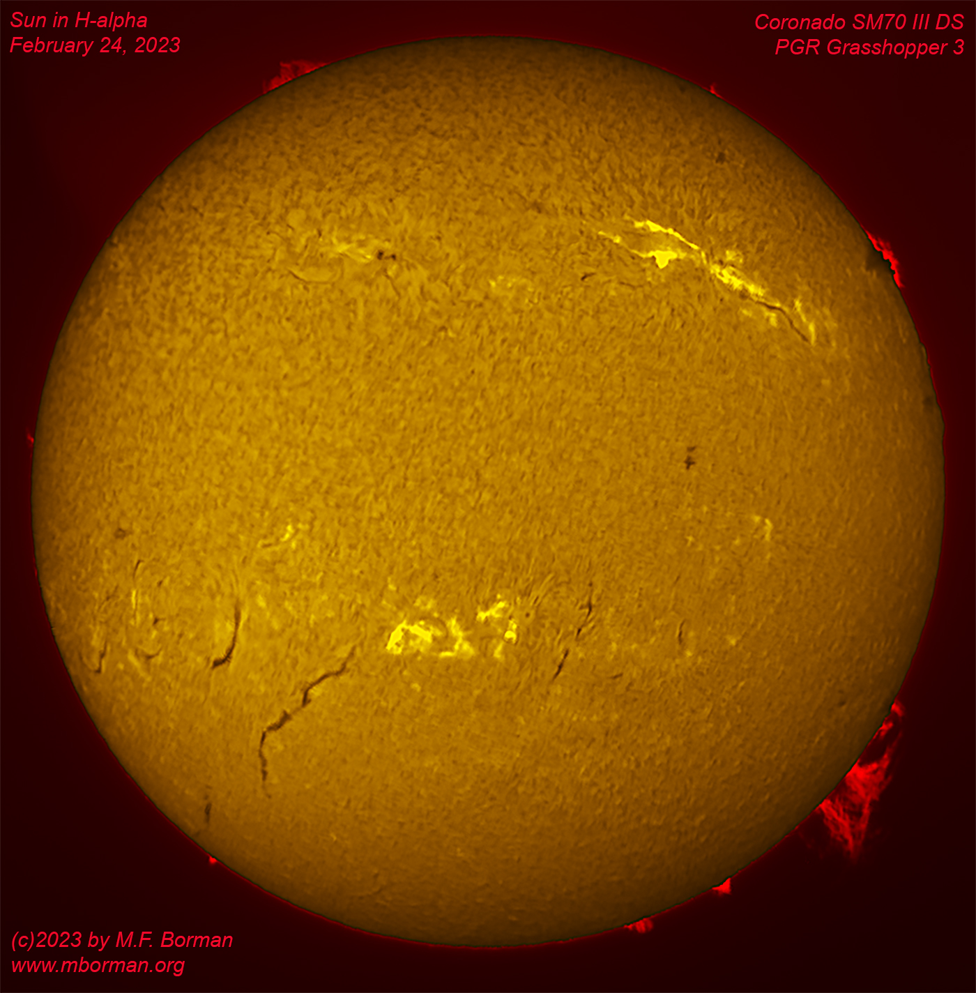 Solar disk in h-alpha 02/24/2023
