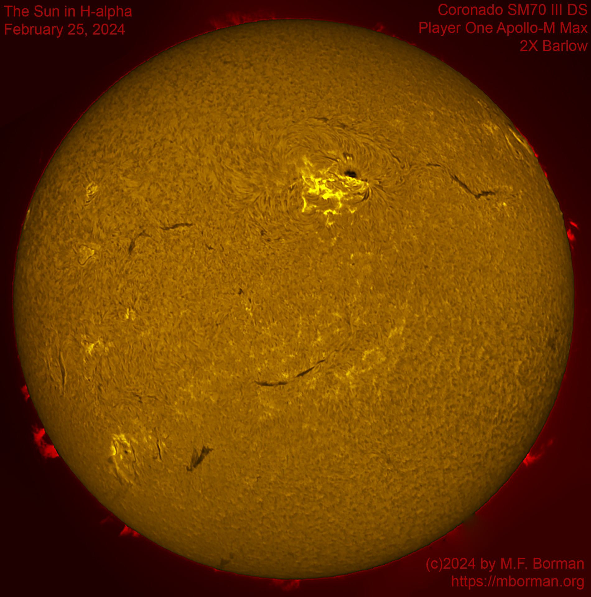 Solar image in h-alpha 02/25/2524