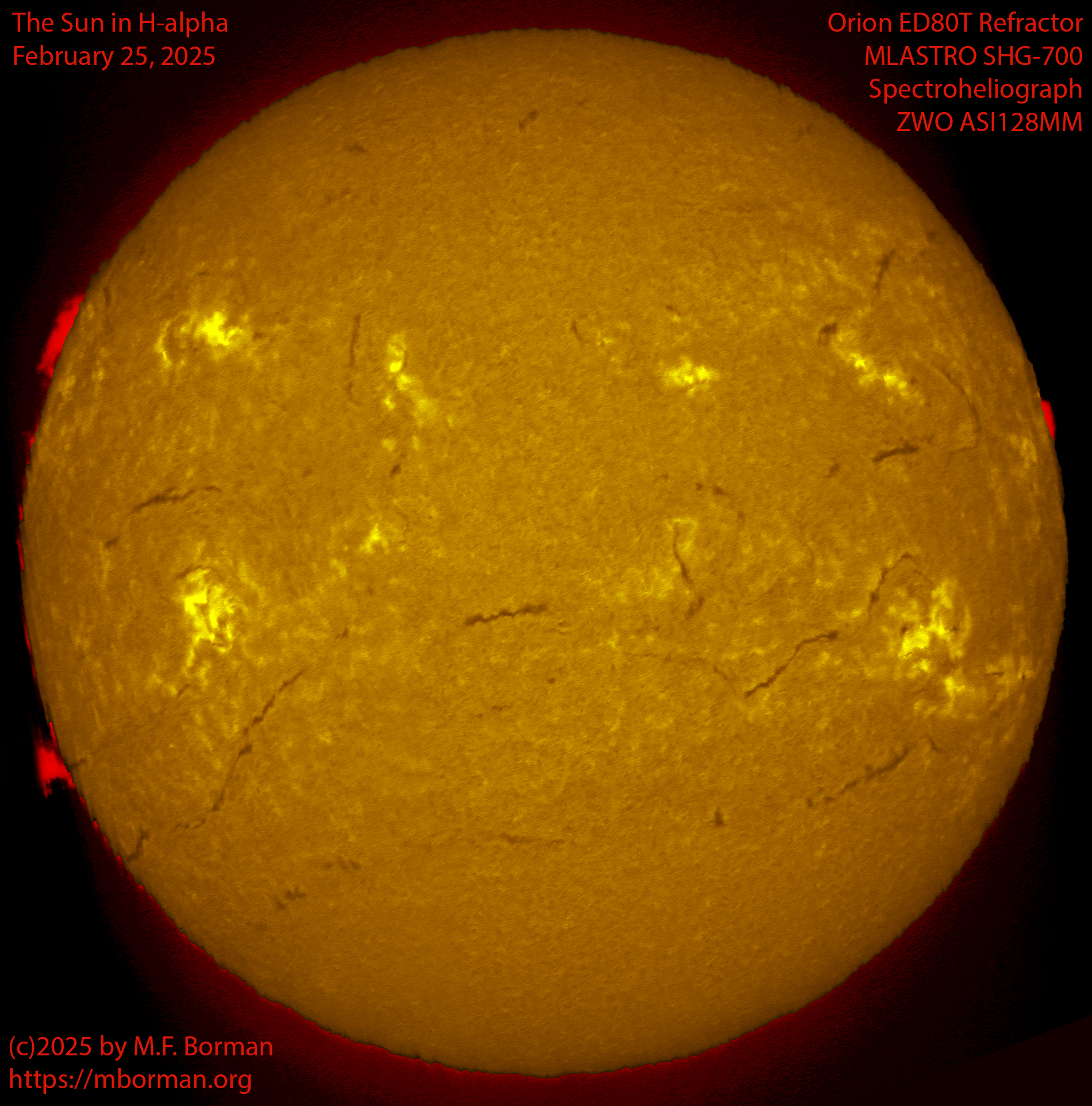 Solar image in h-alpha 02/25/25