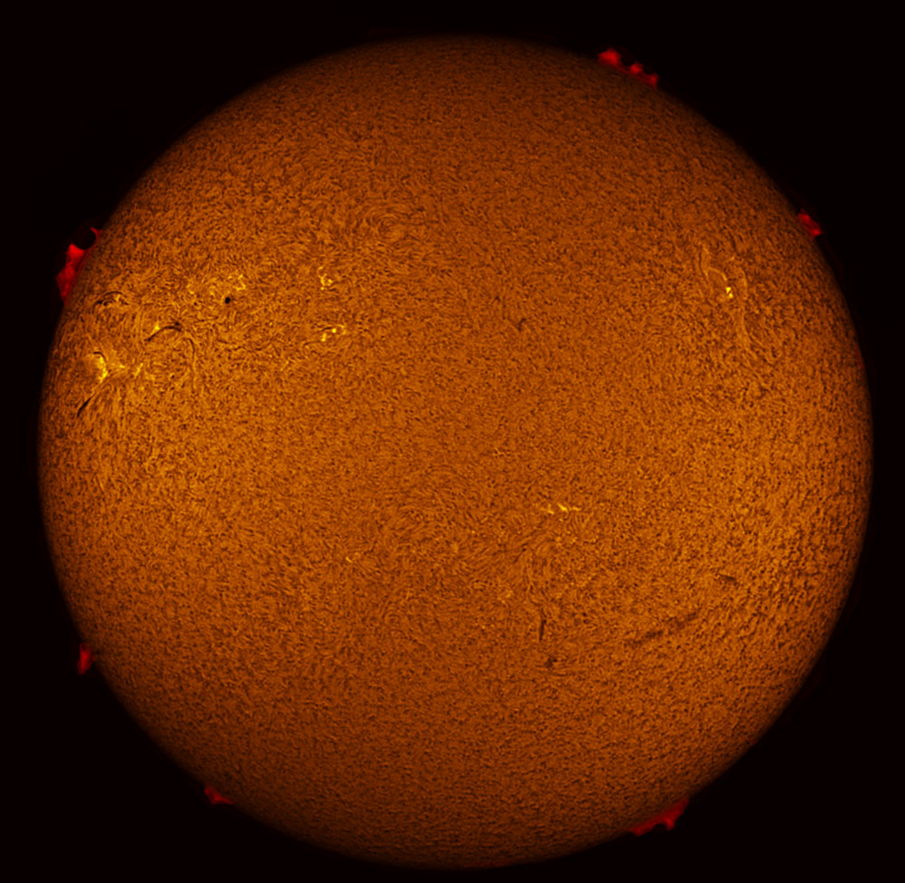 Solar Disk in h-alpha 02/26/2012