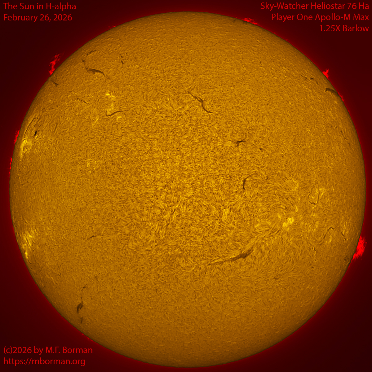 Solar image in h-alpha 02/26/26