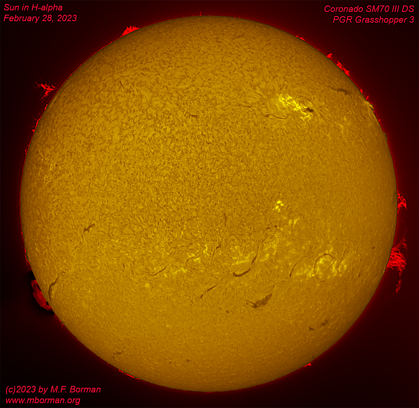 Solar disk in h-alpha 02/28/2023