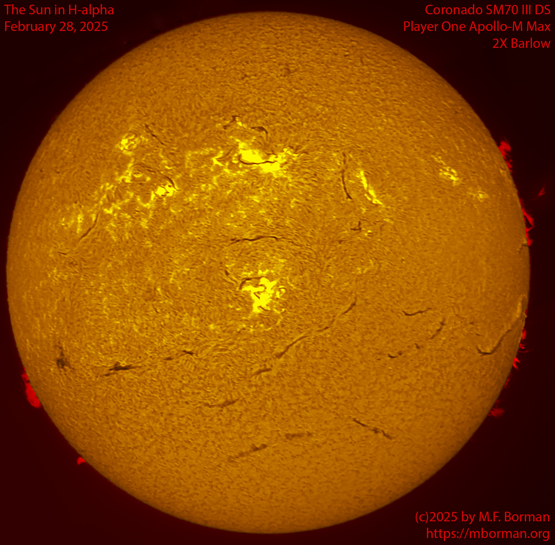 Solar image in h-alpha 02/28/25