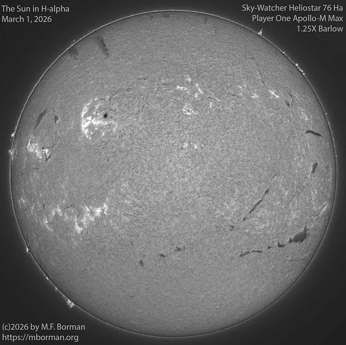 Solar image in h-alpha 03/01/26