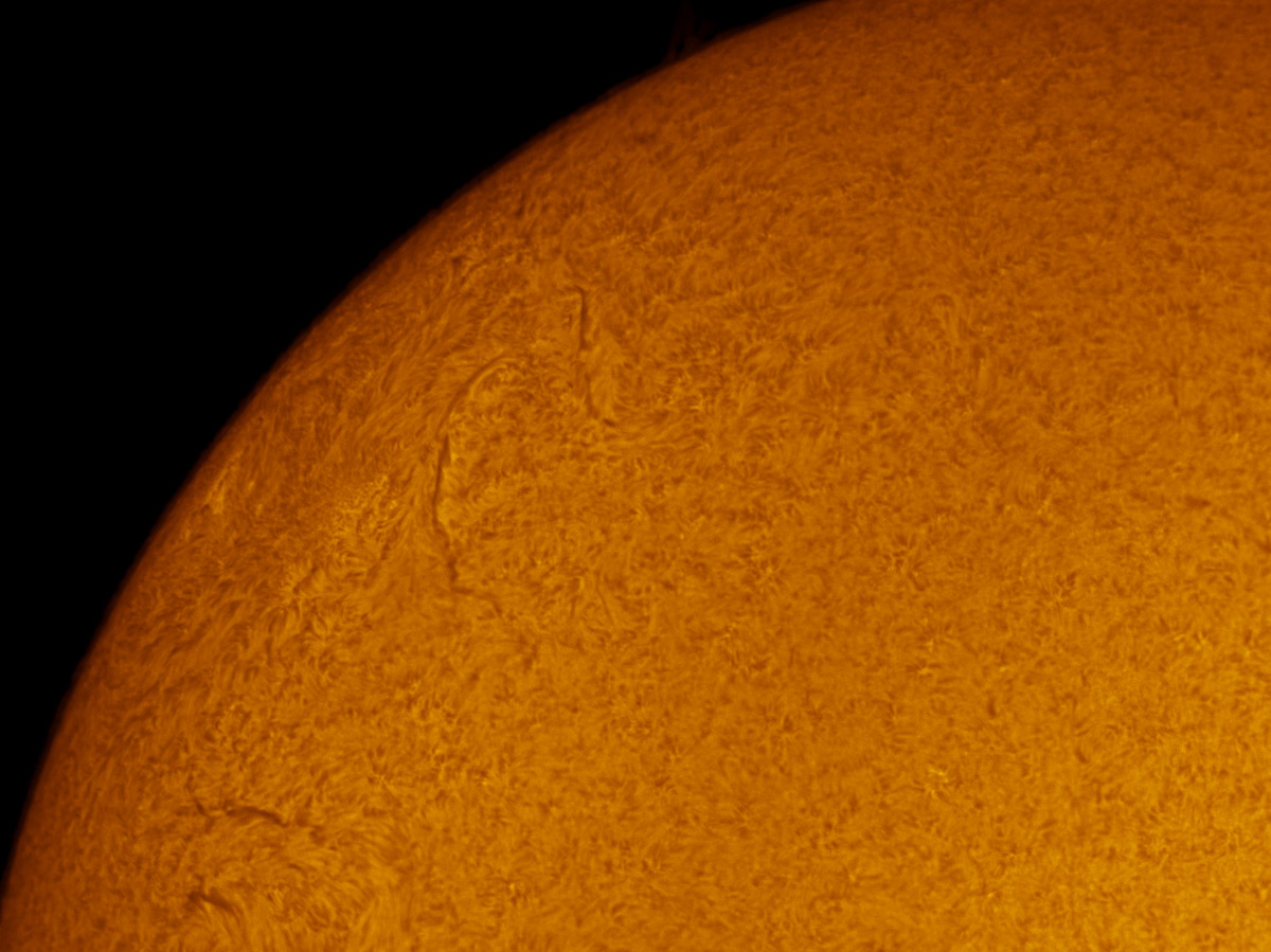 Solar Filaments in h-alpha 03/03/2013