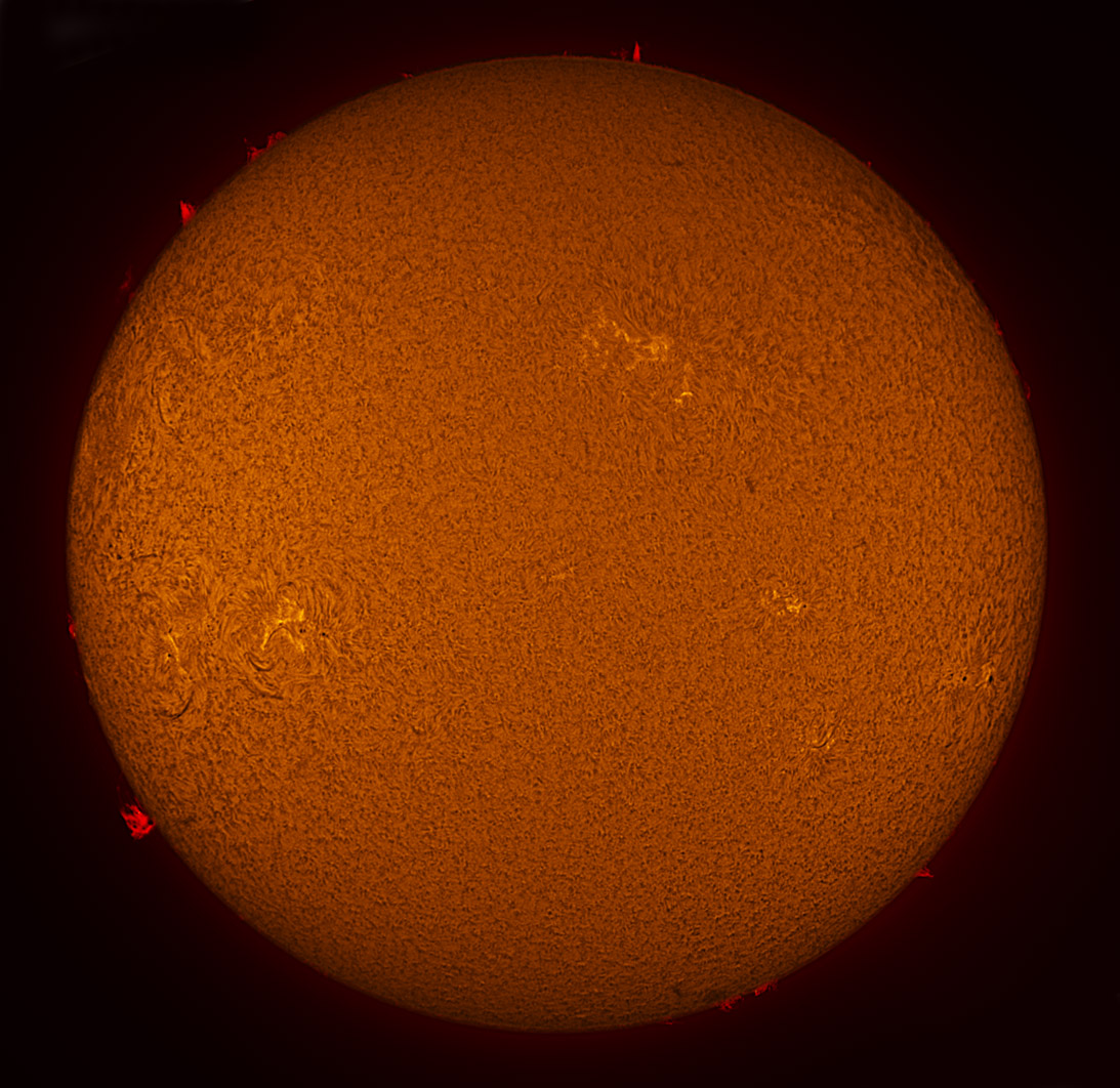 Solar Disk in h-alpha 03/03/2013