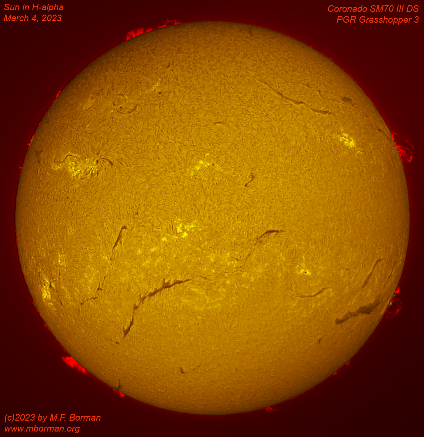 Solar disk in h-alpha 03/04/2023