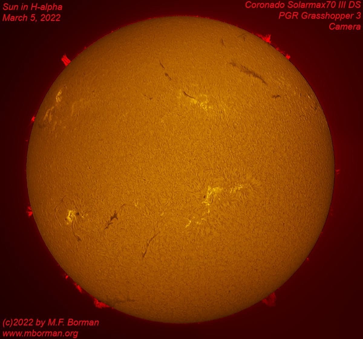 Solar disk in h-alpha 03/05/2022
