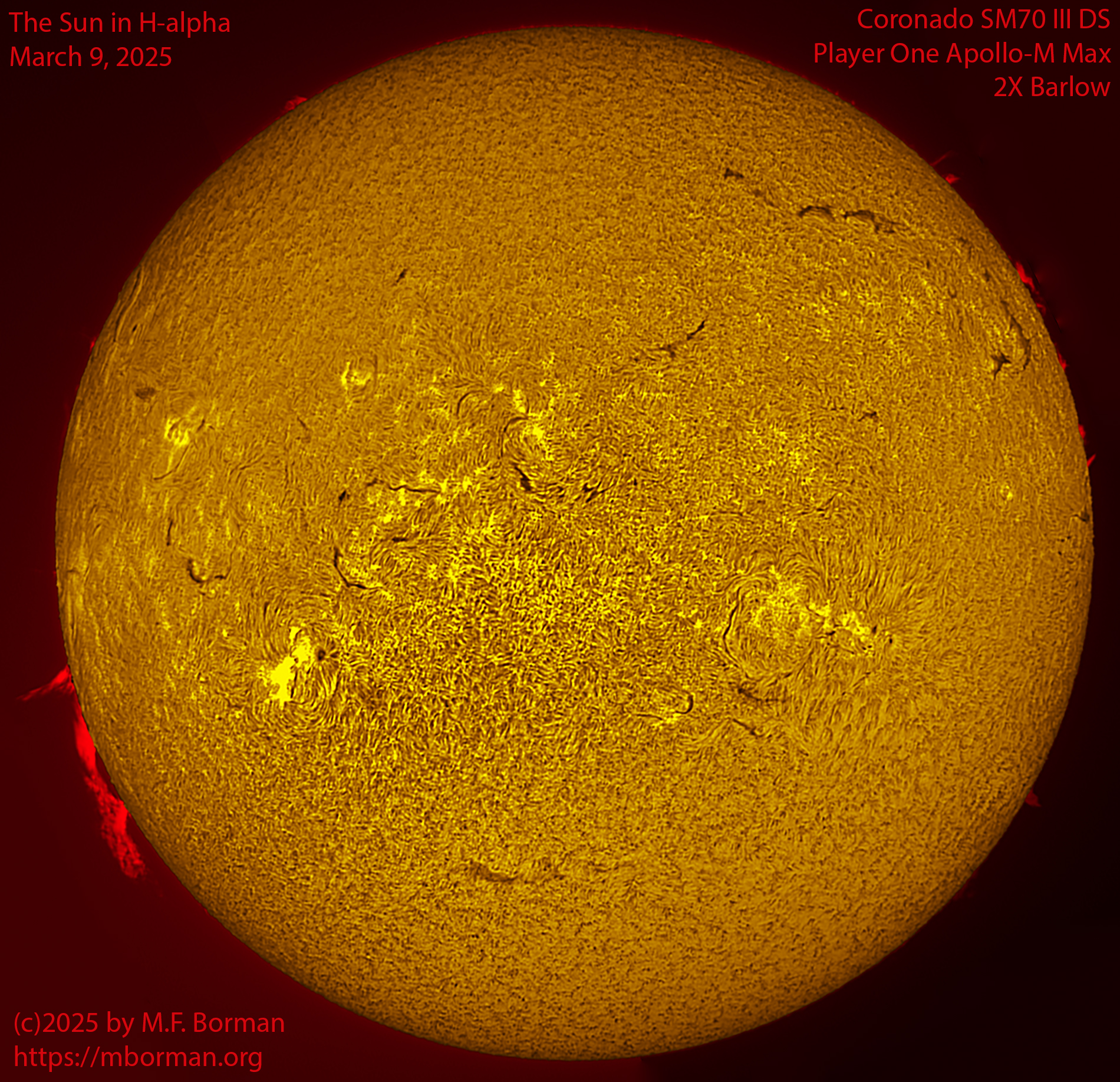 Solar image in h-alpha 03/09/25