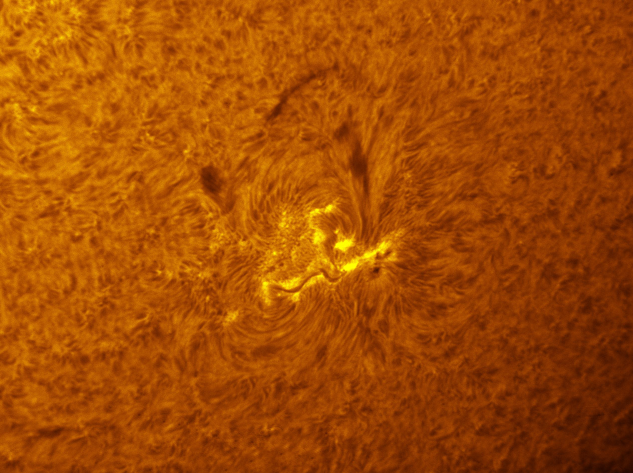 Sunspot 1428 in h-alpha 03/10/2012