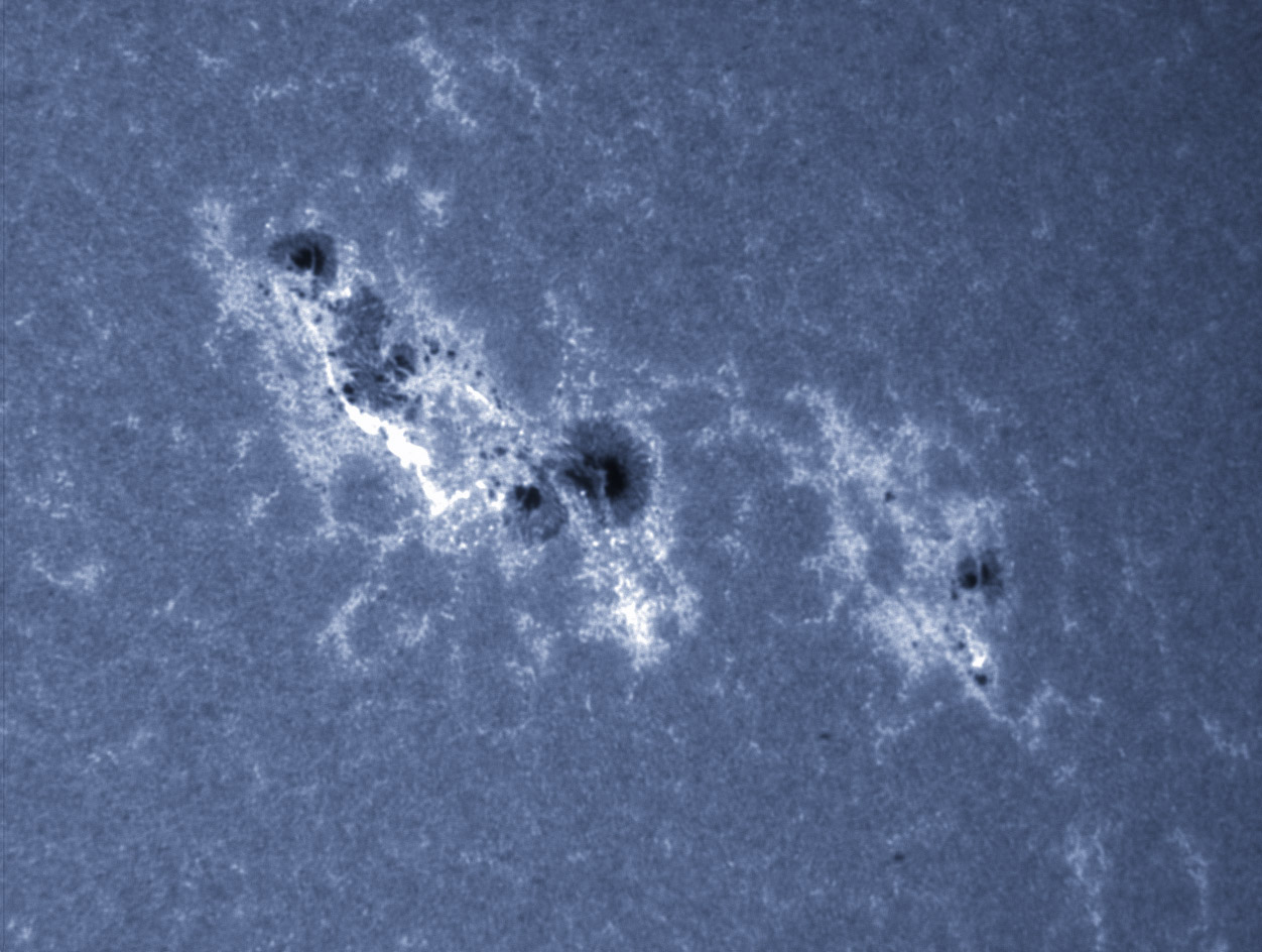 Sunspot 1429 in CaK 03/10/2012