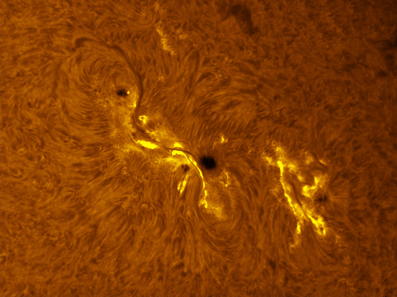 Sunspot 1429 in h-alpha 03/10/2012