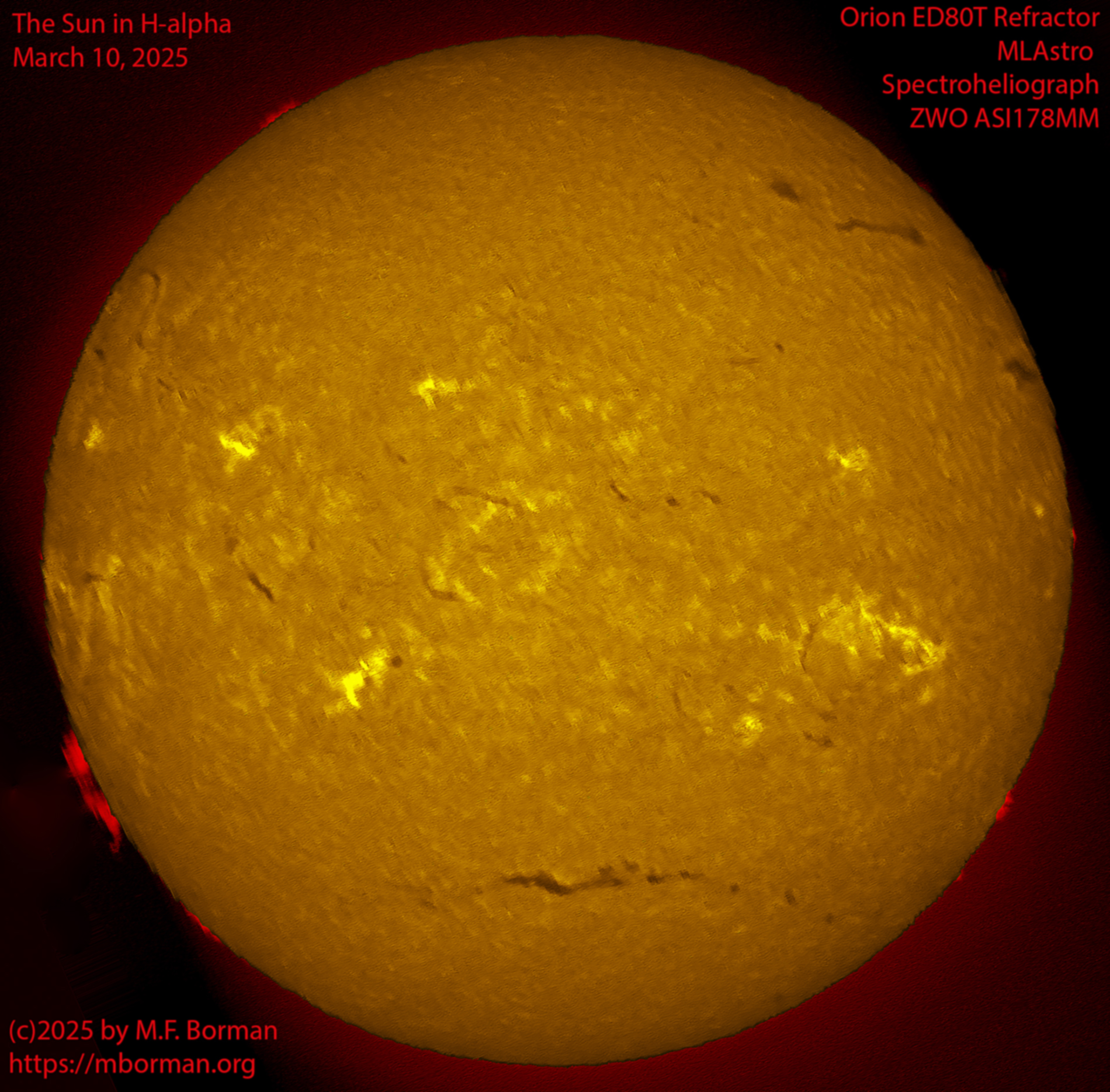 Solar image in h-alpha 03/10/25