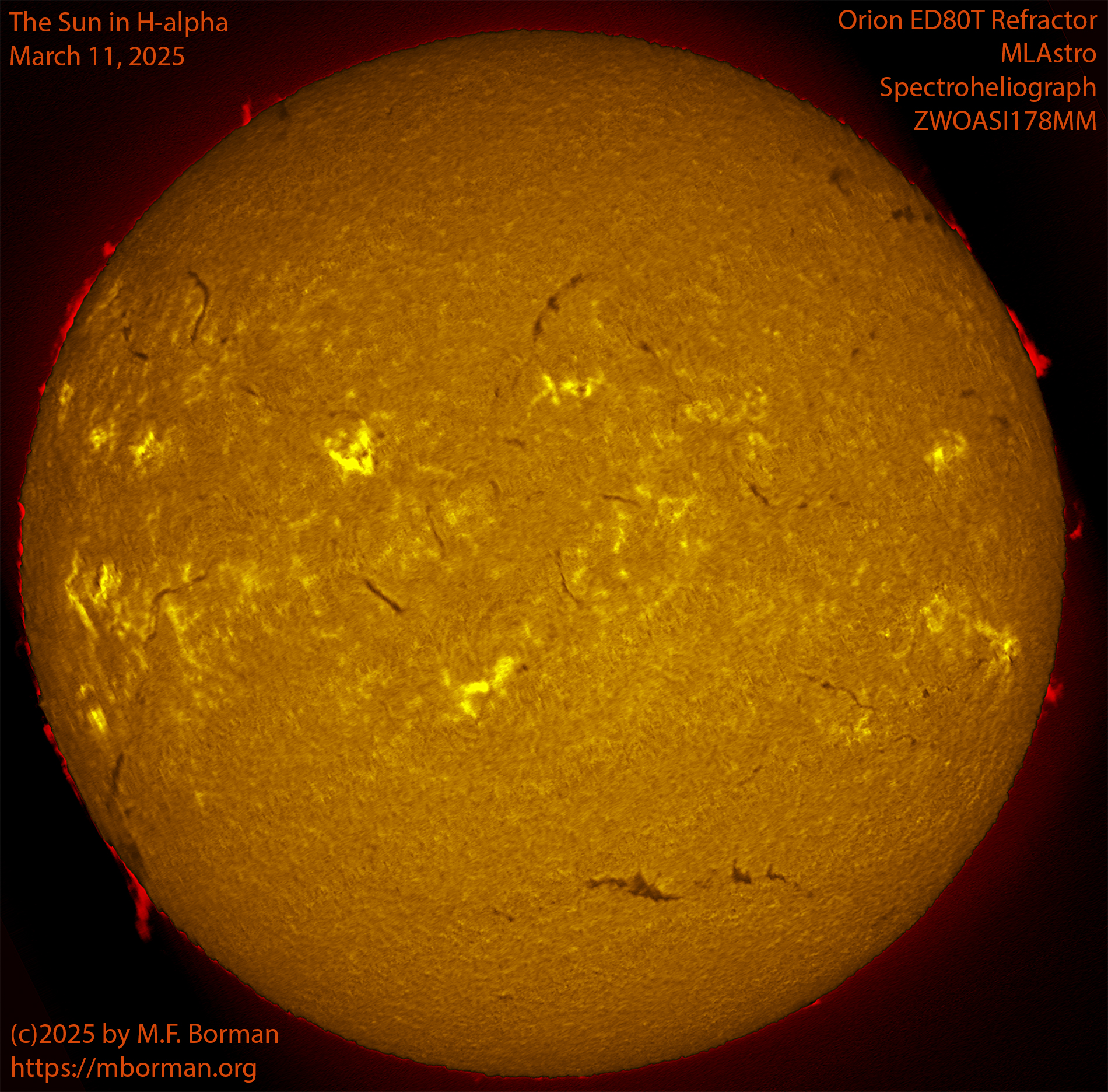 Solar image in h-alpha 03/11/25