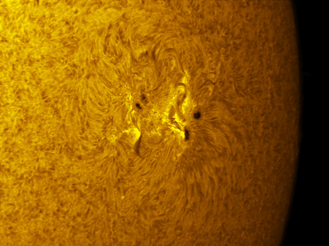 Sunspot 1166 in h-alpha 3/12/2011