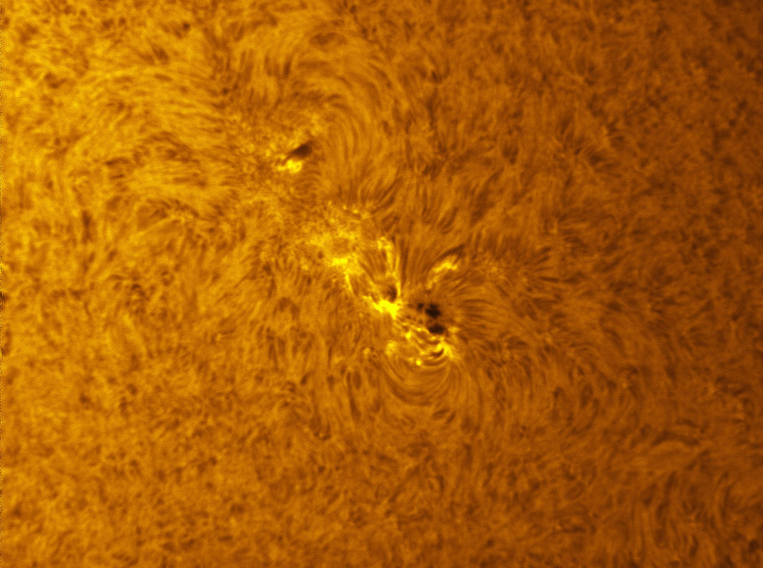 Sunspot 1169 in h-alpha 03/12/2011