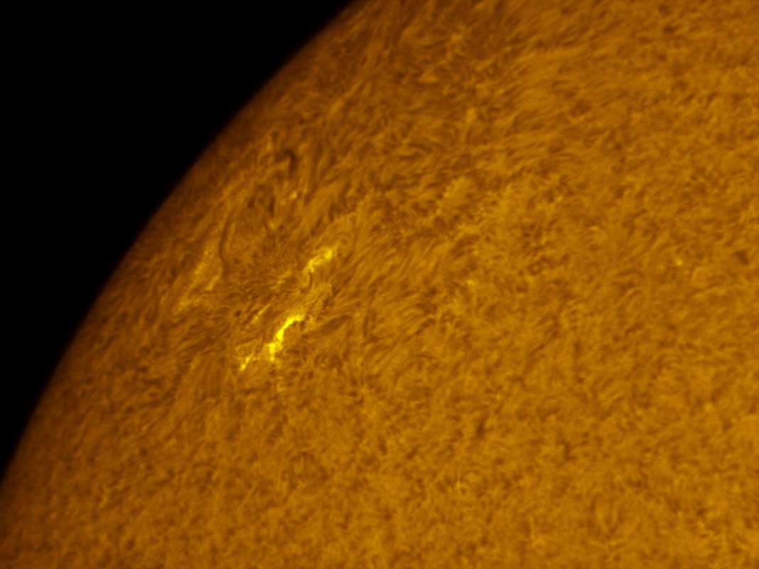 Sunspot 1172 in h-alpha 3/12/2011