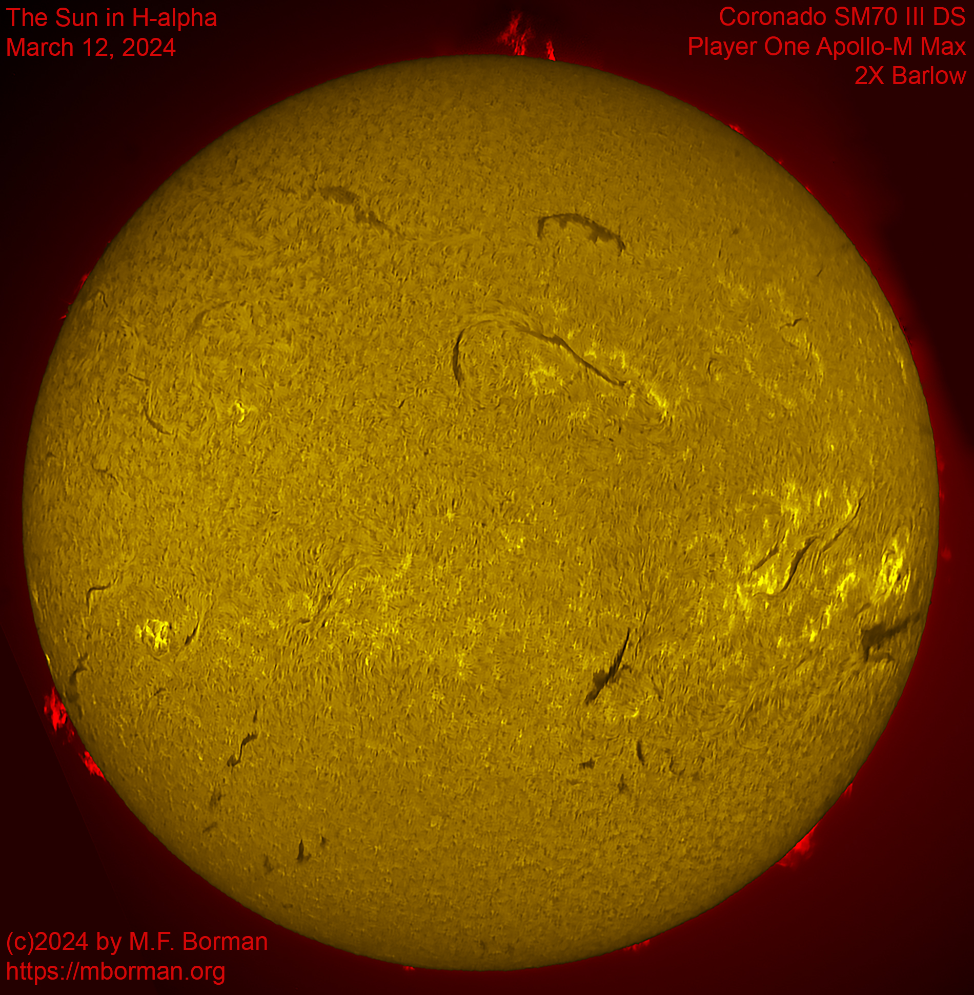 Solar image in h-alpha 03/12/24