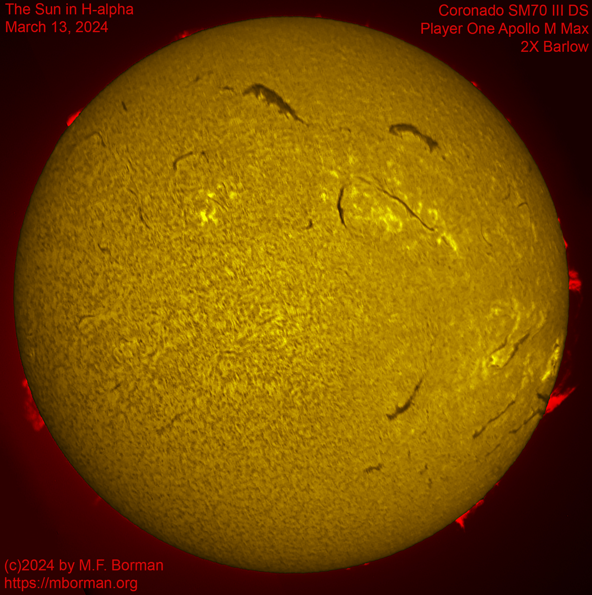 Solar image in h-alpha 03/13/24