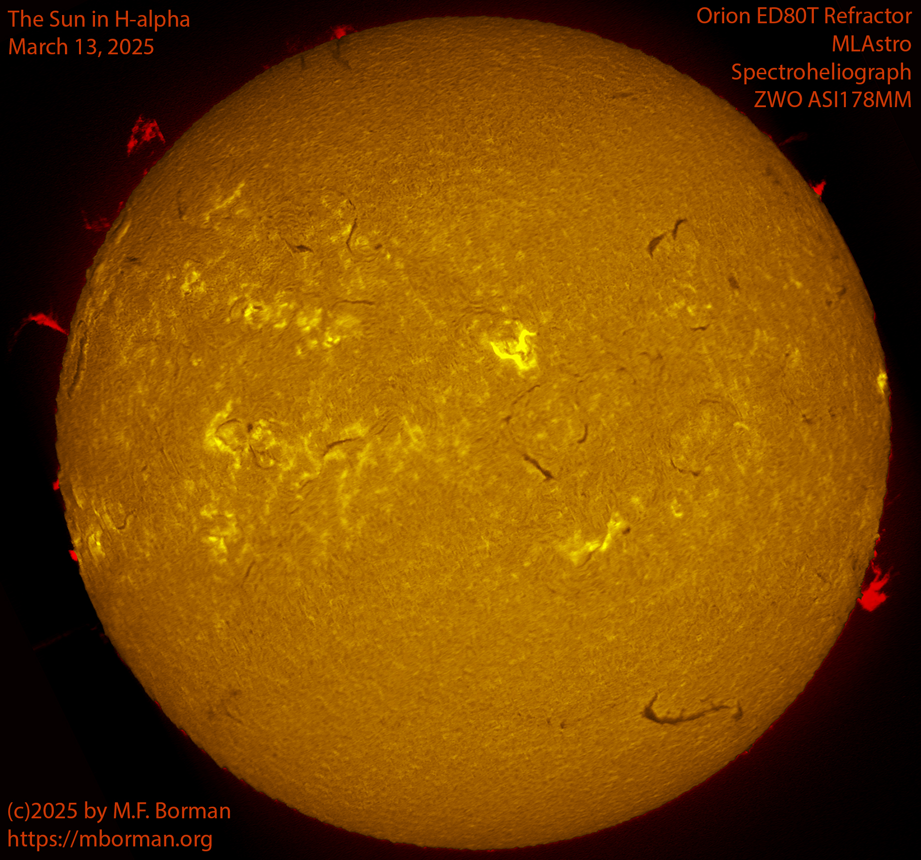 Solar image in h-alpha 03/13/25