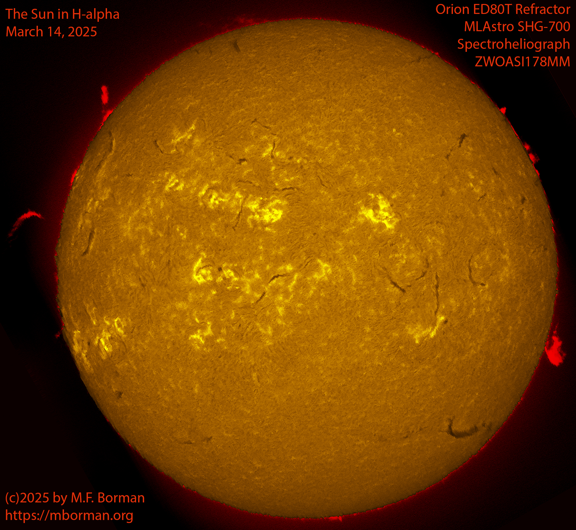 Solar image in h-alpha 03/14/25