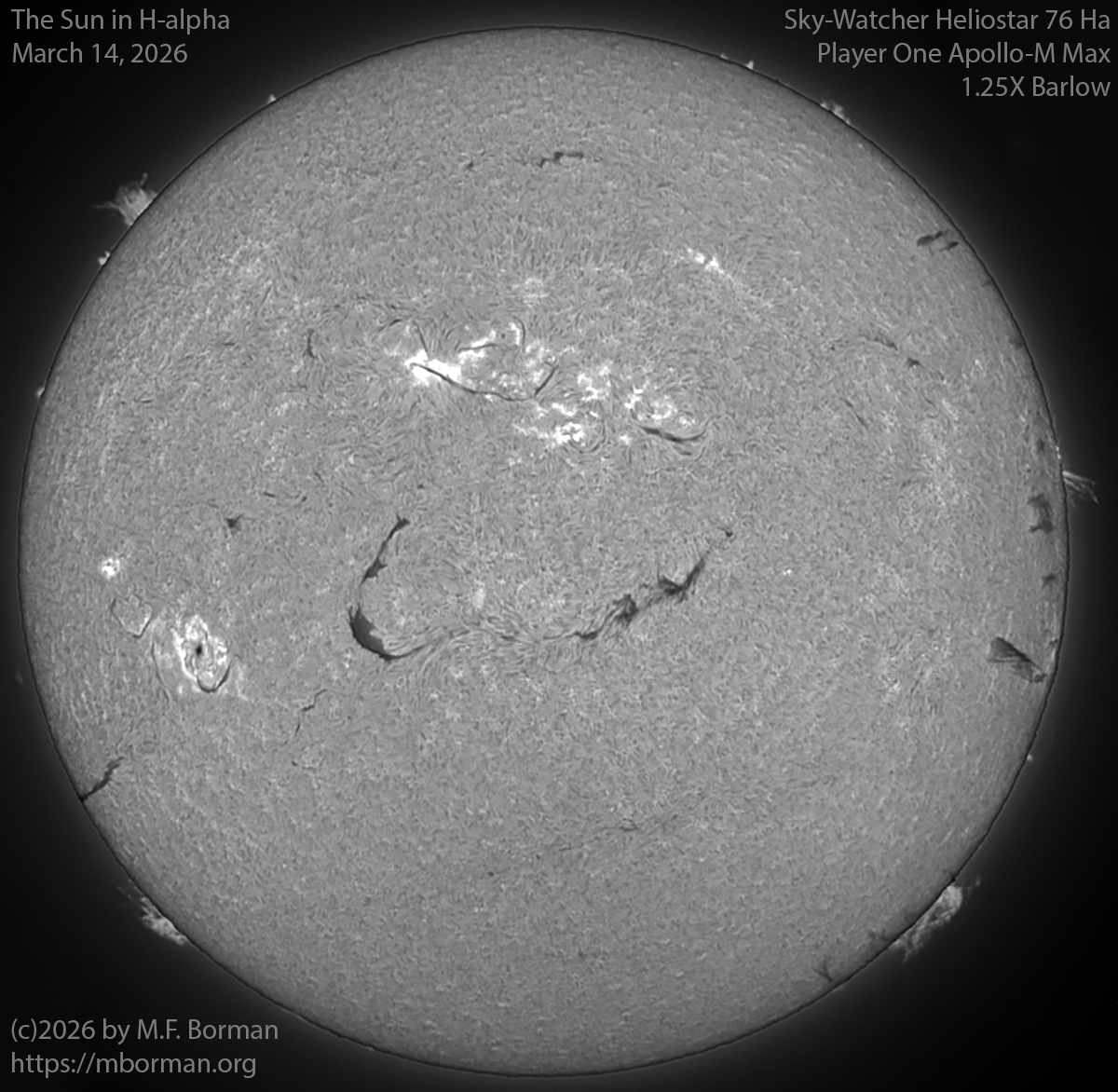 Solar image in h-alpha 03/14/26