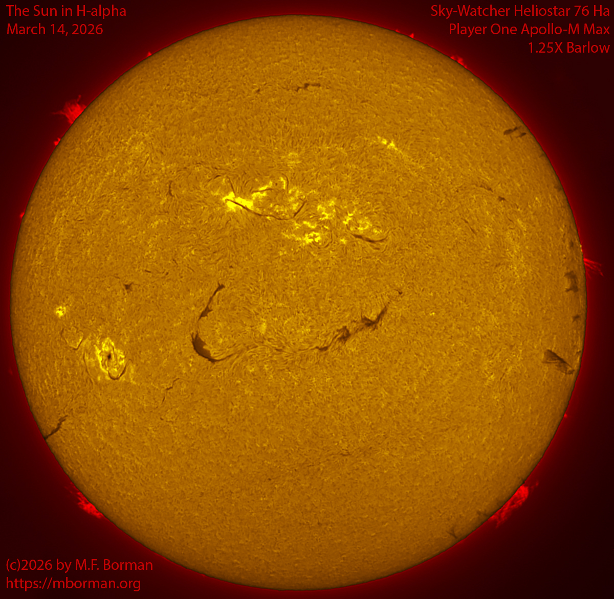 Solar image in h-alpha 03/14/26