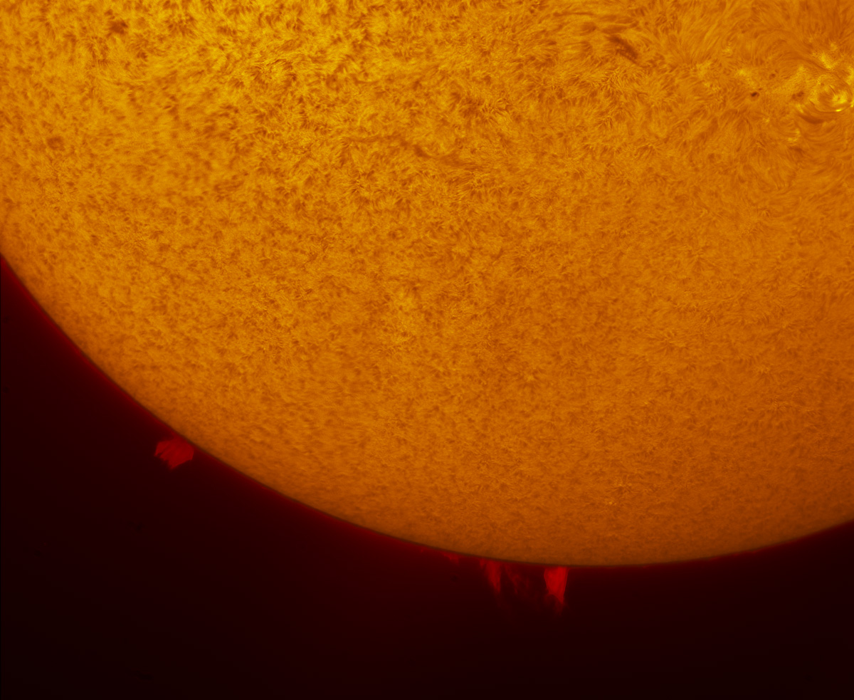 Solar prominences in h-alpha 03/15/2014