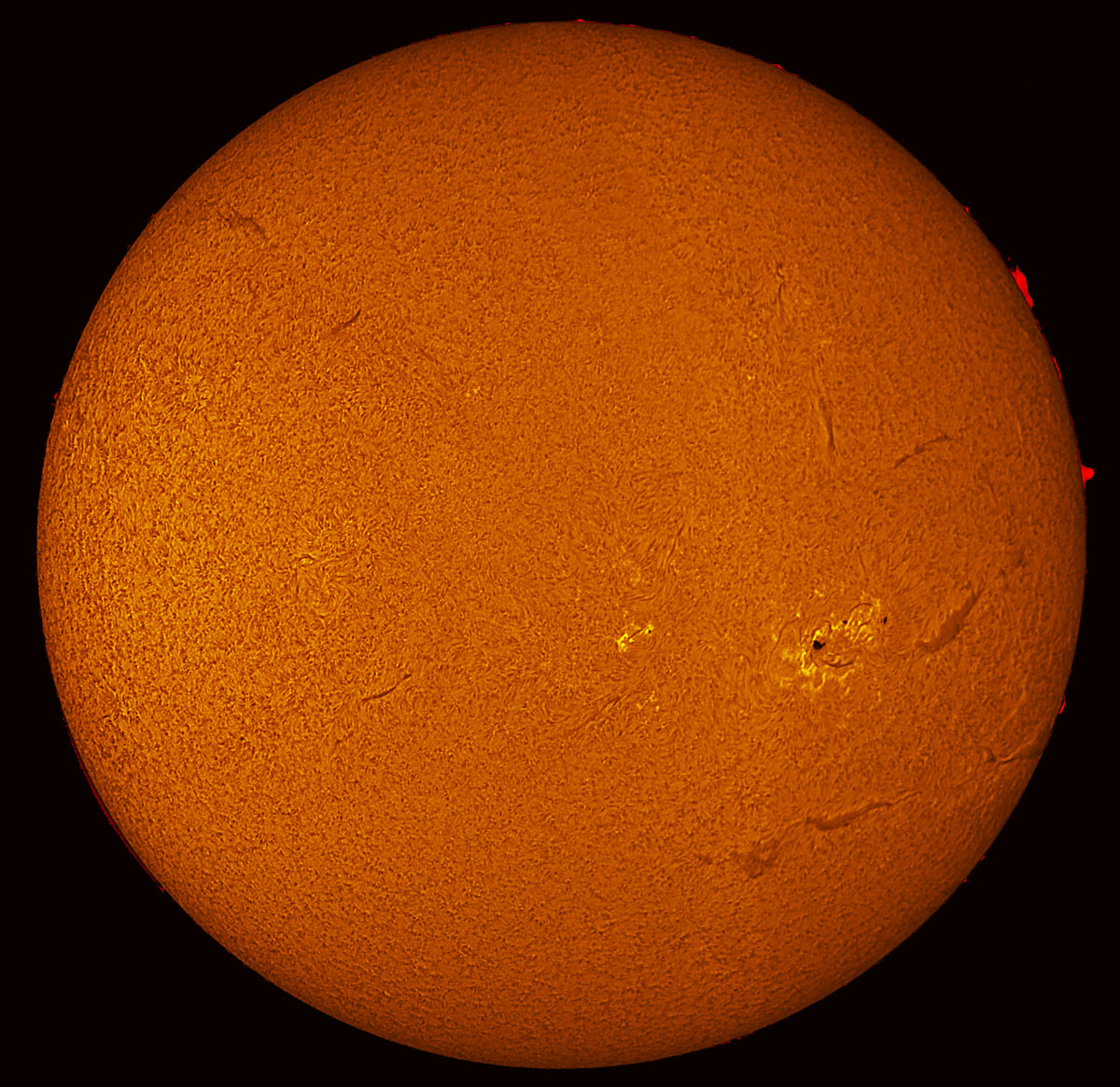 Solar Disk in h-alpha 03/15/2015