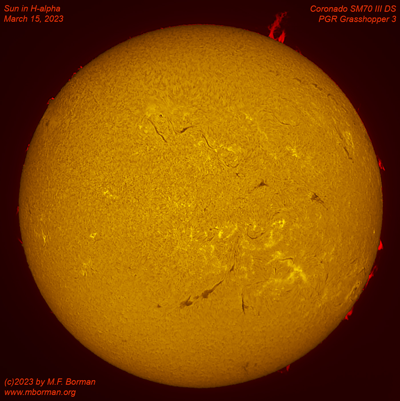 Solar disk in h-alpha 03/15/2023