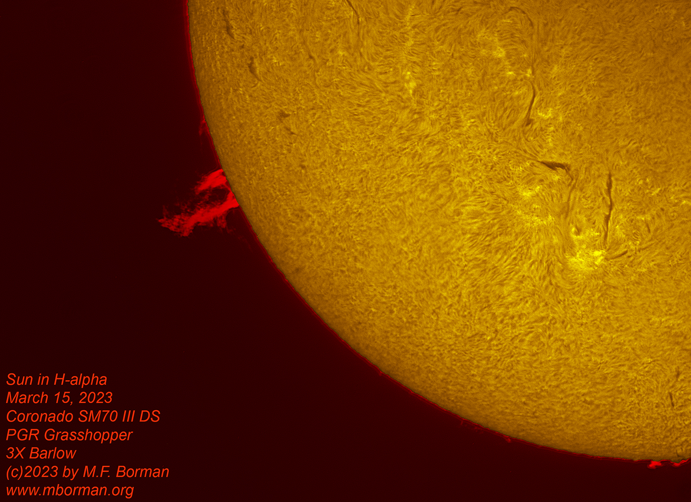Solar prominences in h-alpha 03/15/2023