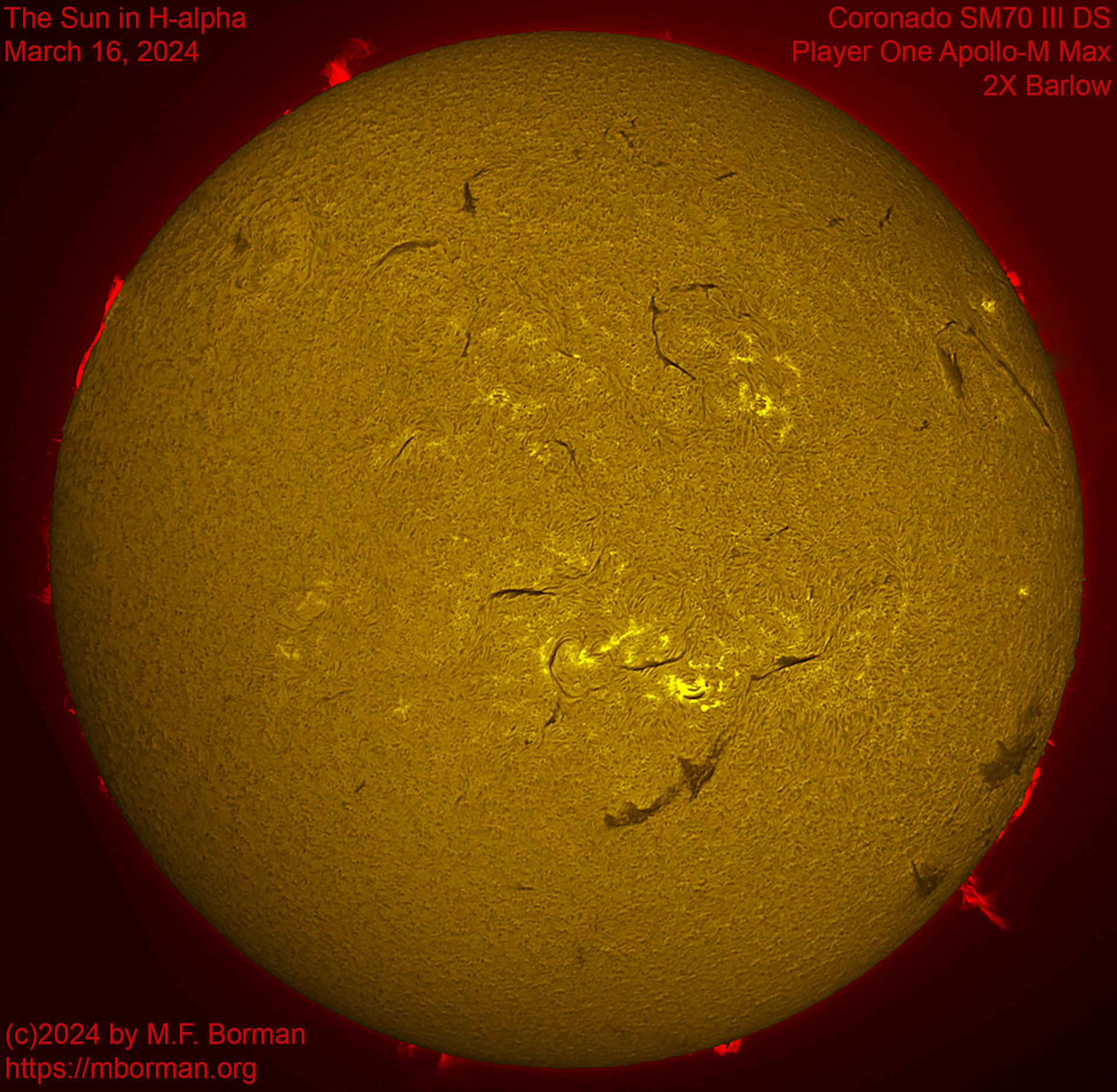 Solar image in h-alpha 03/16/24