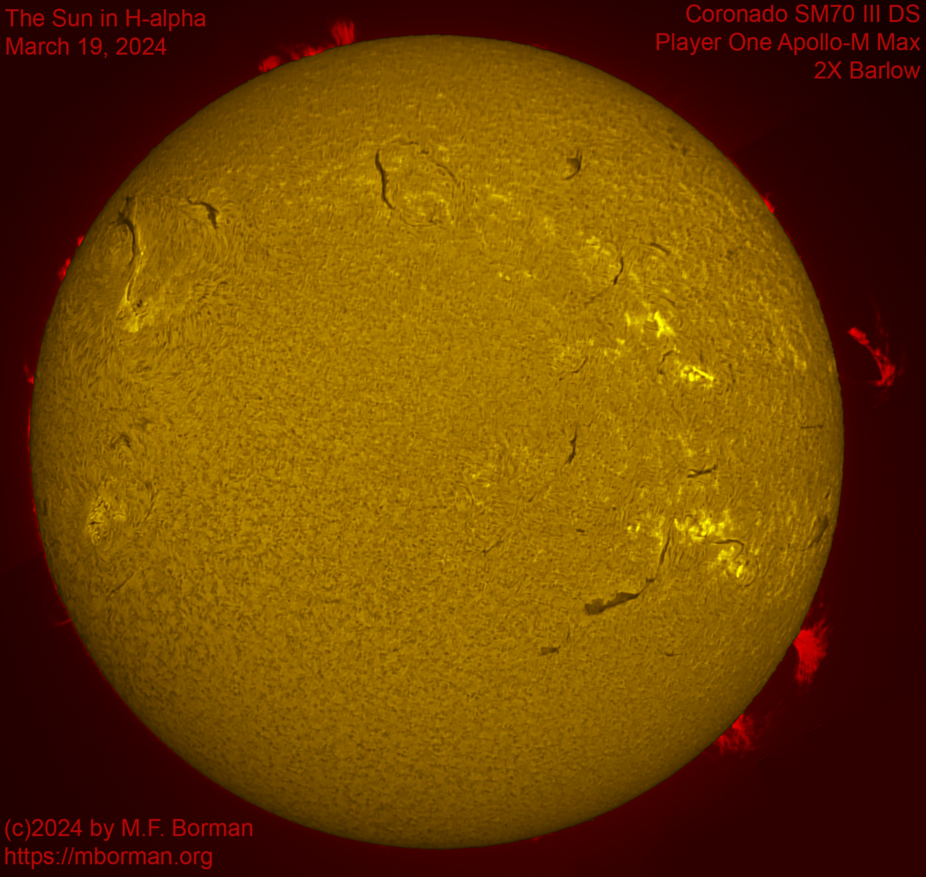 Solar image in h-alpha 03/19/24