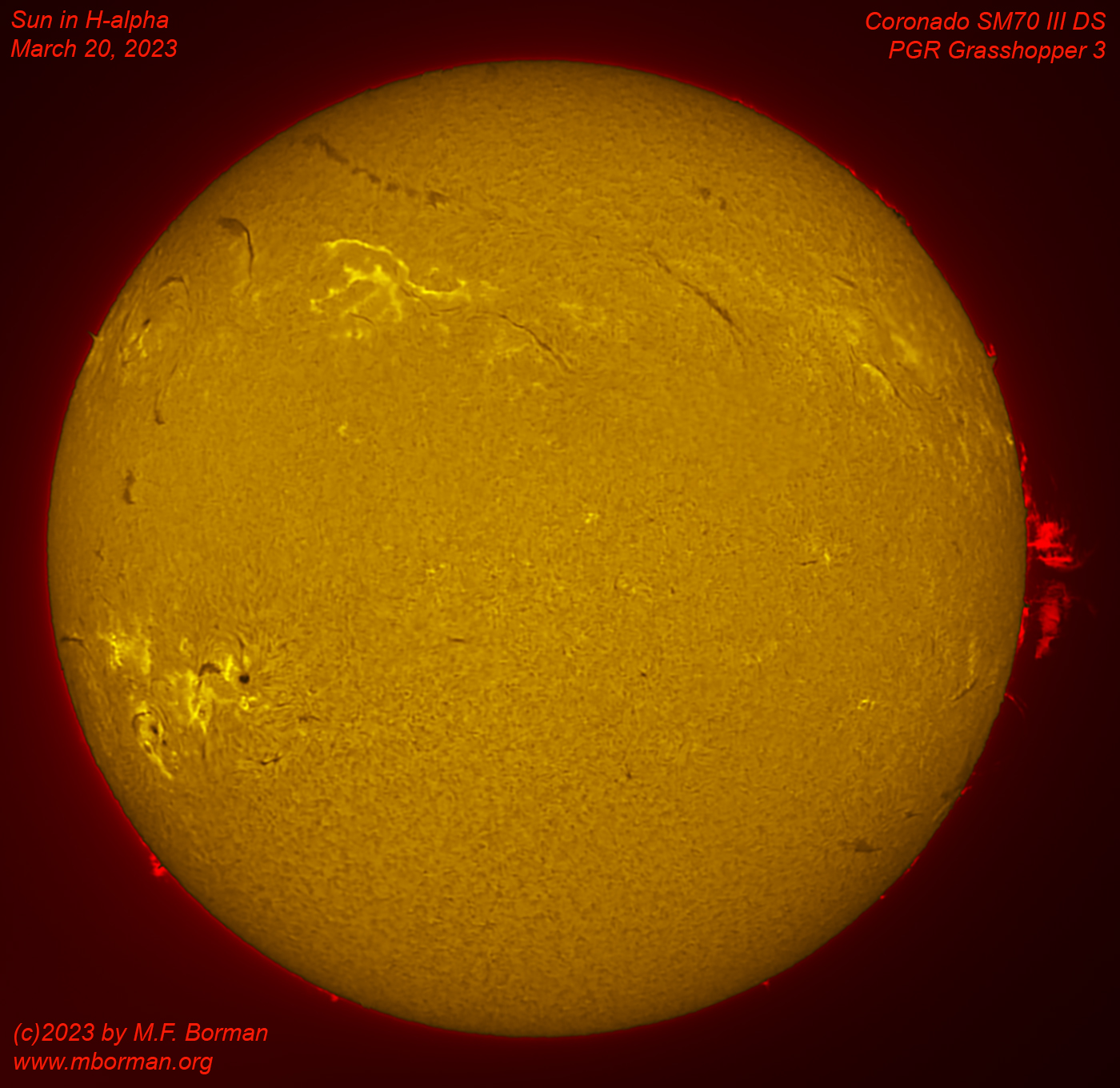 Solar disk in h-alpha 03/20/2023