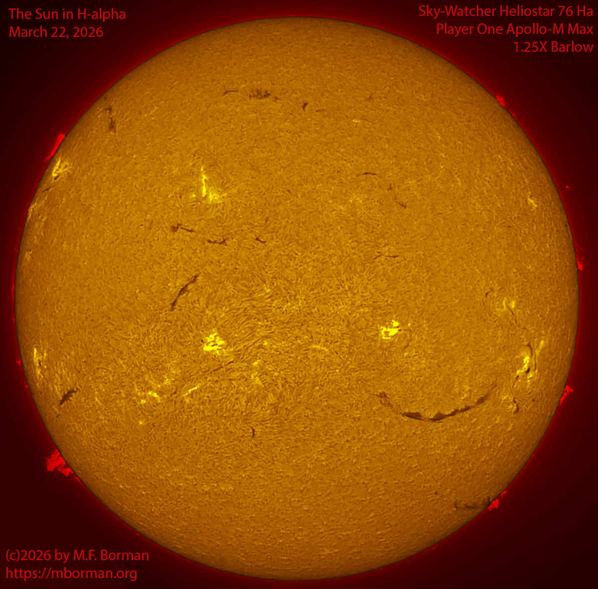 Solar image in h-alpha 03/22/26