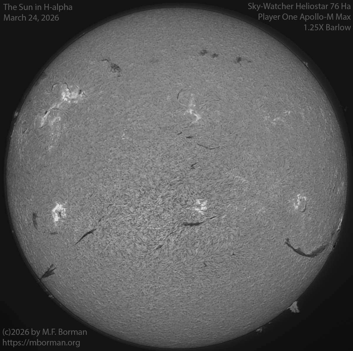 Solar image in h-alpha 03/24/26