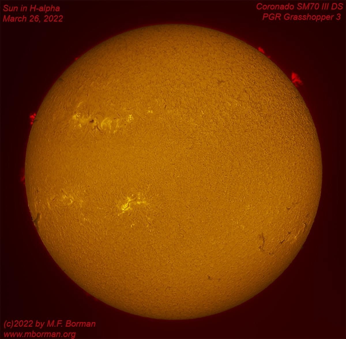 Solar disk in h-alpha 03/26/2022